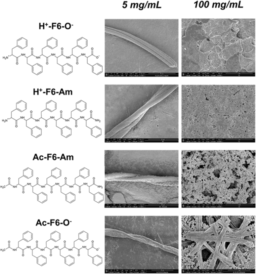 1949766544536489984-peptide-variants-characterization-service1.png