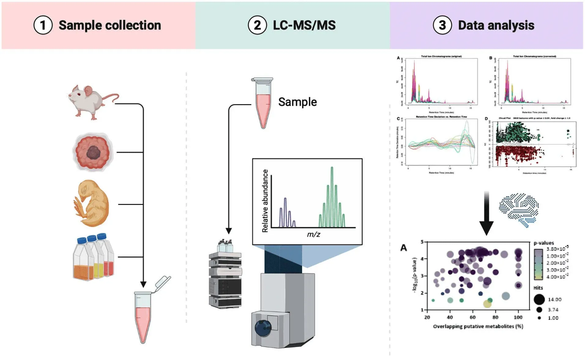 1950035978443866112-1950023561383034880-metabolomics-analysis1.png