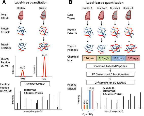 1950127050662658048-quantitative-proteomics11.png