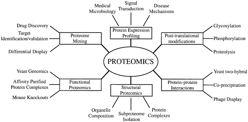 1950492289191165952-proteomics11.png