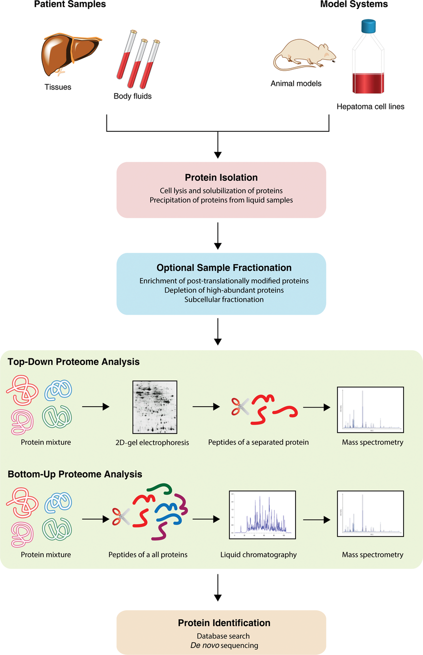 1950492589281034240-proteomics12.png