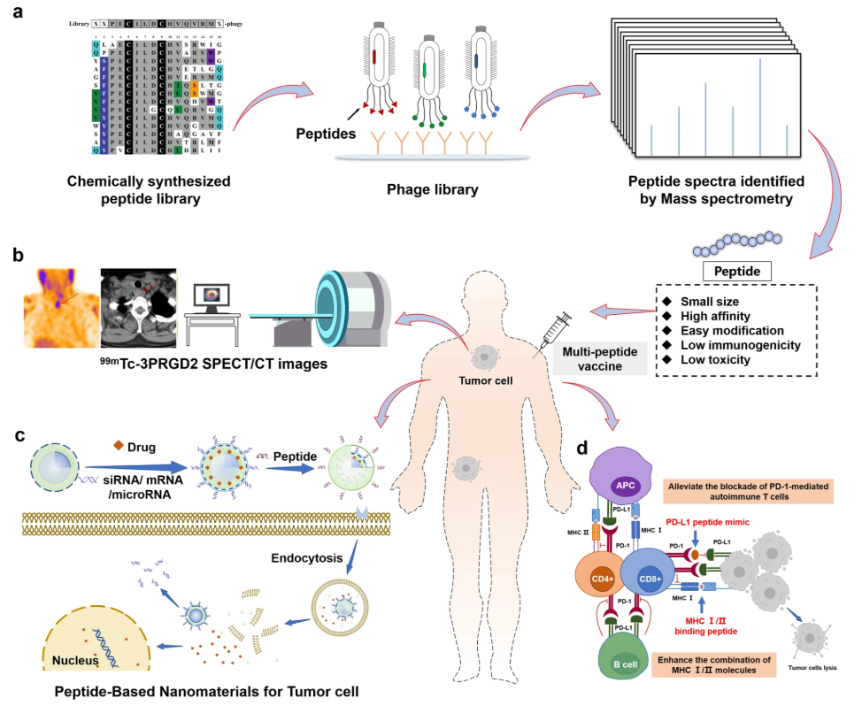 1949771536987181056-peptide-drug-quality-control-service1.png
