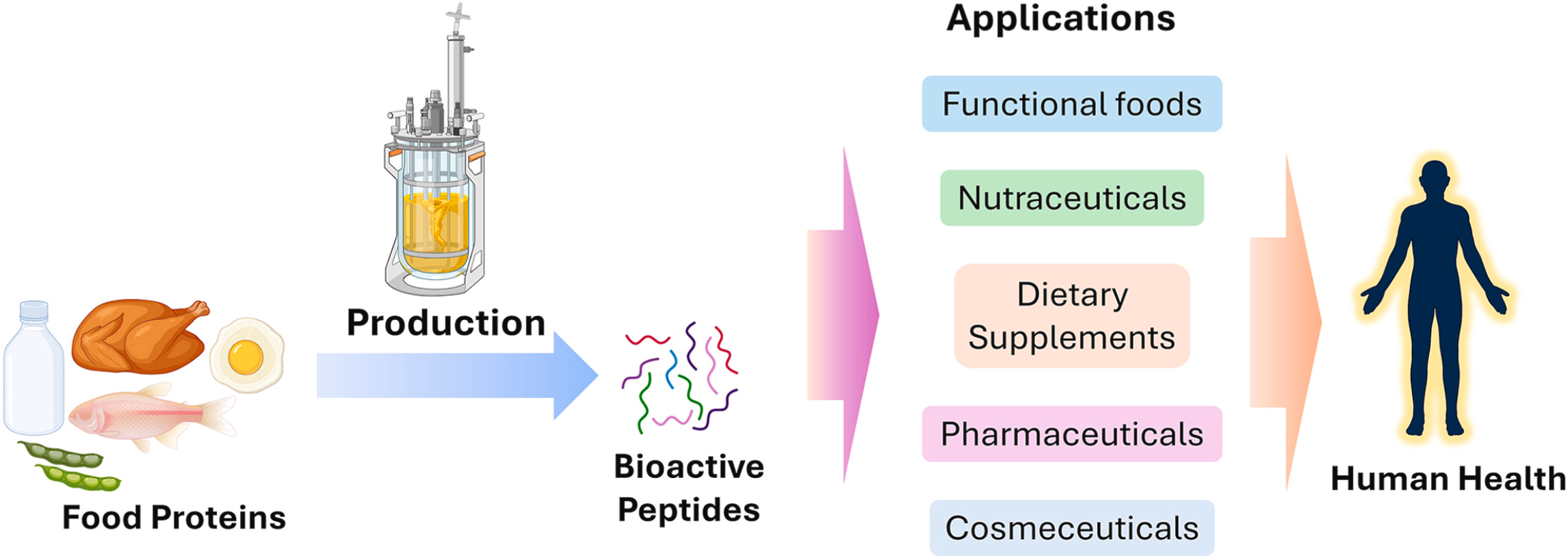 1950826097512402944-food-derived-functional-bioactive-peptides-discovery-service1.png