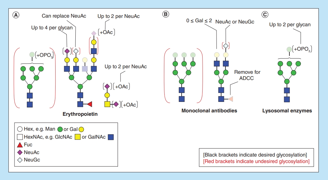 1951158404909154304-biopharmaceuticals-characterization-service1.jpg