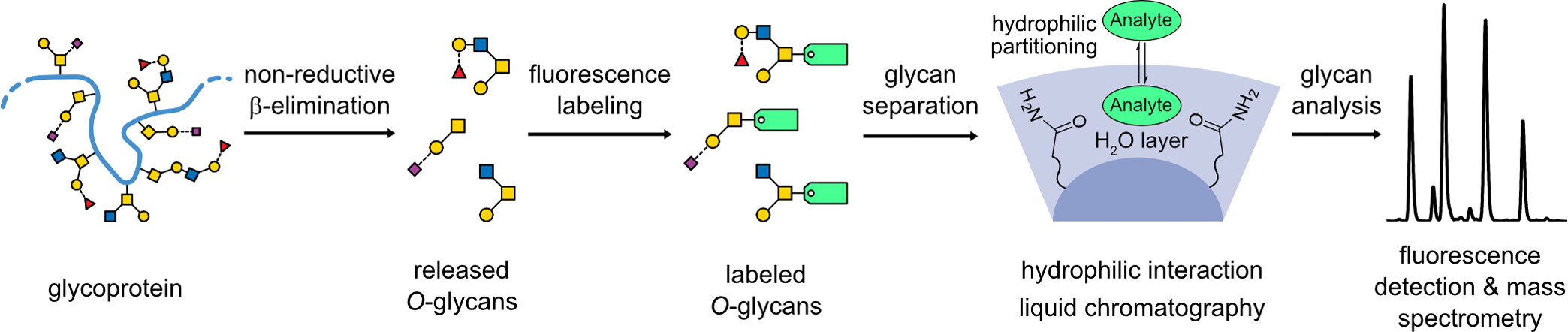 1951199555794620416-o-glycan-liberation-service2.jpeg