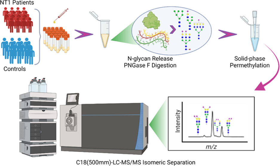 1951201310372646912-n-glycan-liberation-service2.jpeg