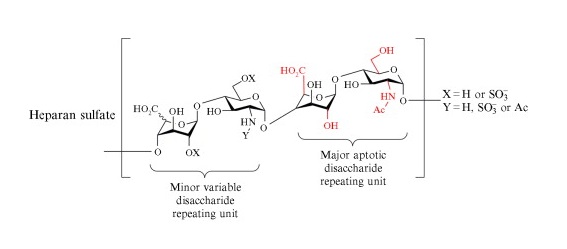 1951213673880604672-heparin-sulfate-microarray-service1.jpg