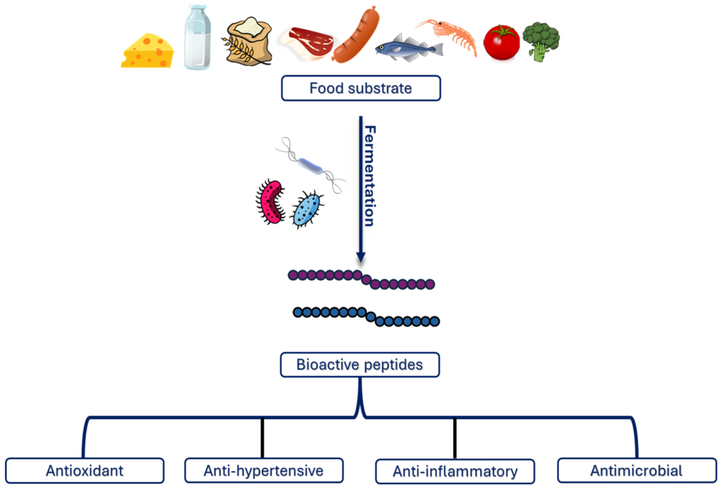 1952183696862334976-peptidomics-based-food-fermentation-research-service1.png