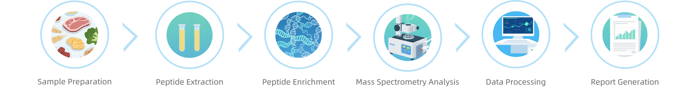 1952184577636814848-peptidomics-based-food-fermentation-research-service2.png