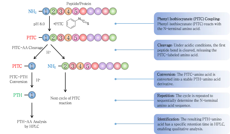 1952568327689781248-sequencing-analysis1.png