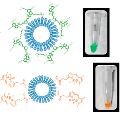 1952917675753652224-exosome-function2.png