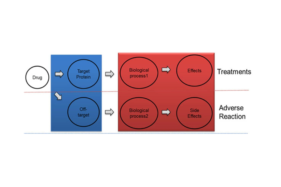 1952924400946823168-peptidomics-based-drug-discovery-service3.png