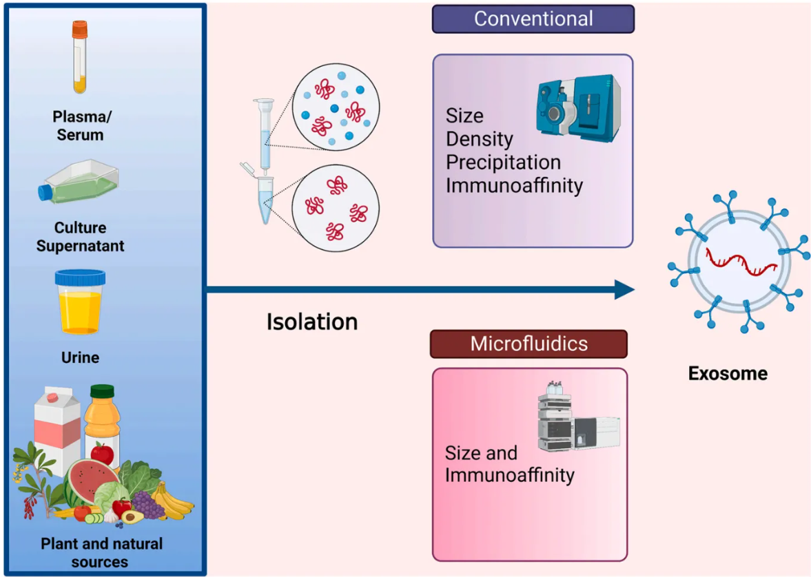 1952928098813001728-exosome-manufacturing1.png