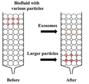 1952928201539895296-exosome-manufacturing3.png