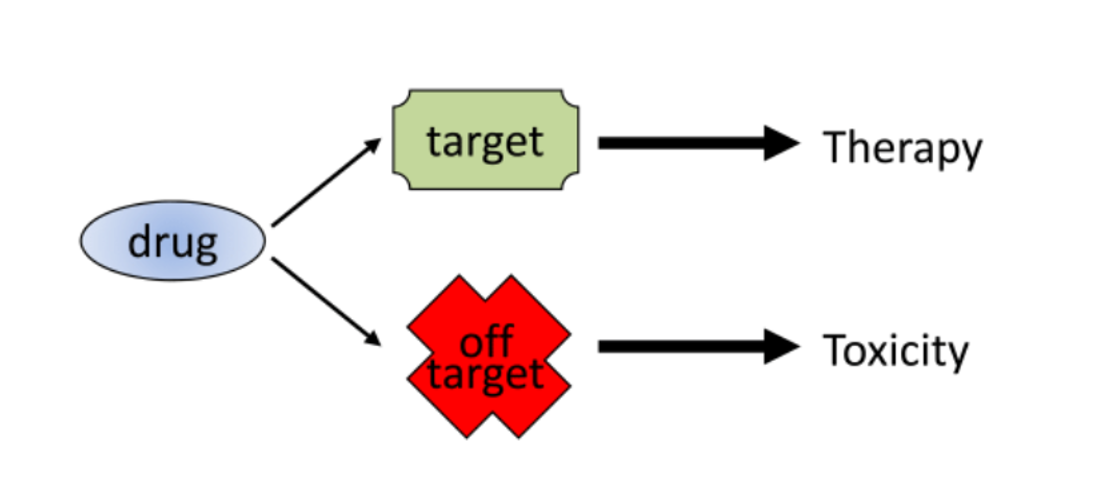 1952929888602210304-mceu_63611187821754449743553.png