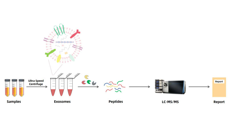 1952962126588985344-exosome-profiling3.png