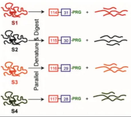 1952965359566897152-peptide-service3.png