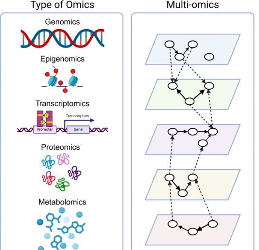 1952965439984287744-peptide-service5.png