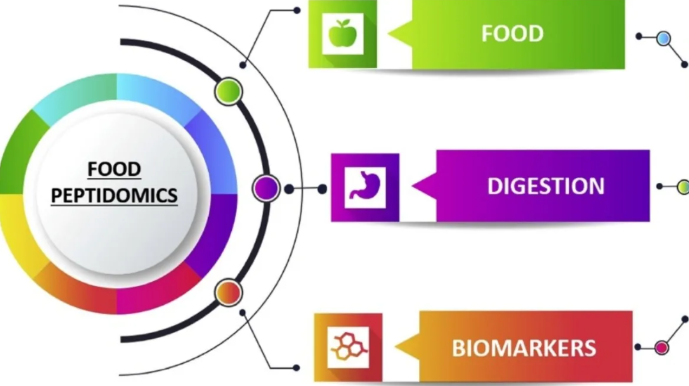 1952982001407541248-peptidomics-based-research-service2.png