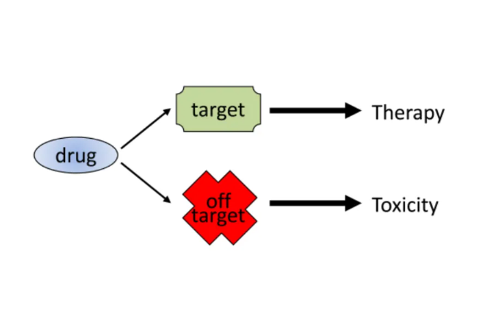 1952982237924343808-peptidomics-based-research-service3.png