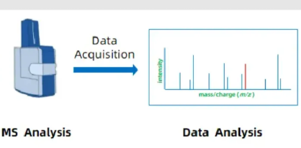 1952982306132115456-peptidomics-based-research-service4.png