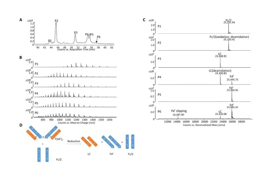 1953006890281648128-special-sample-analysis-services1.png