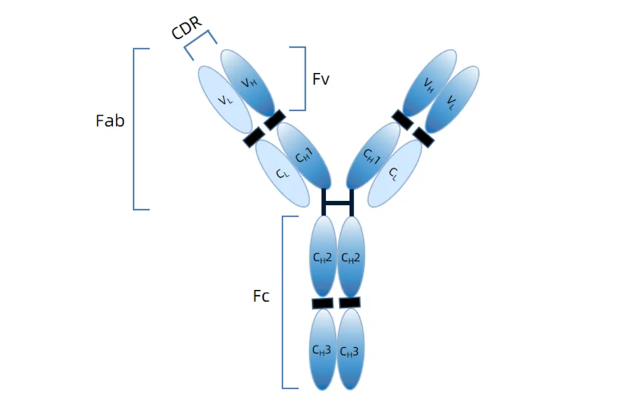 1953007761899962368-special-sample-analysis-services2.png