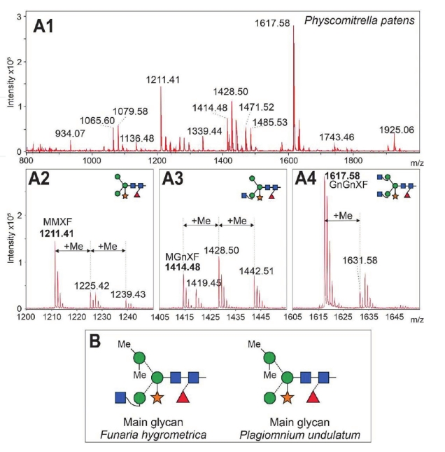 glycan-methylation-analysis-service1.jpg