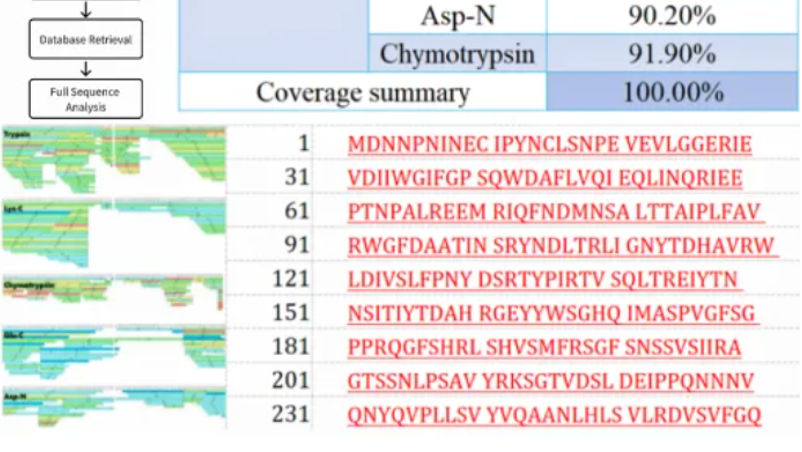 1953361863024623616-primary-structure-analysis4.png