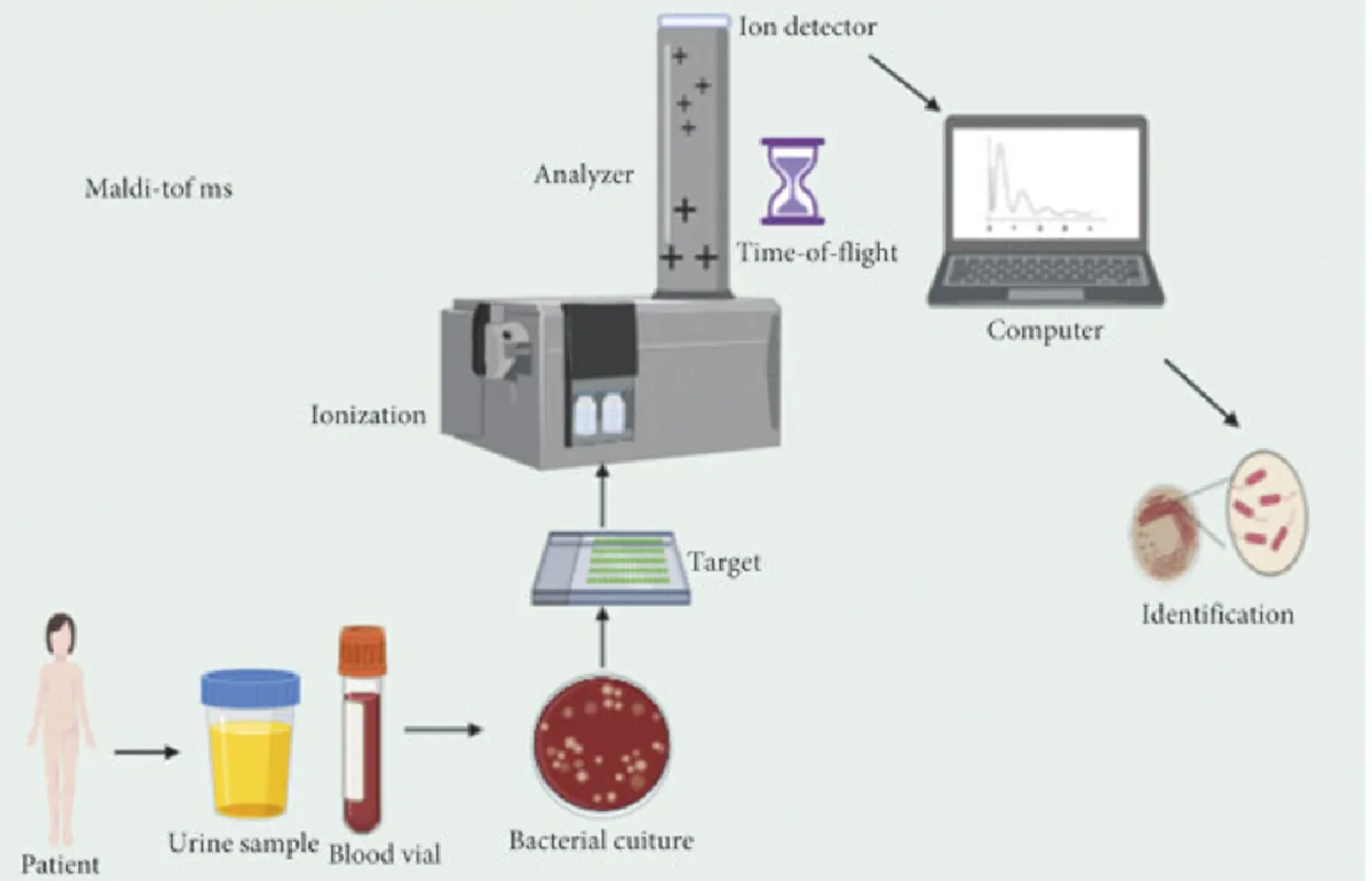 1953742689650393088-thematic-analysis3.png