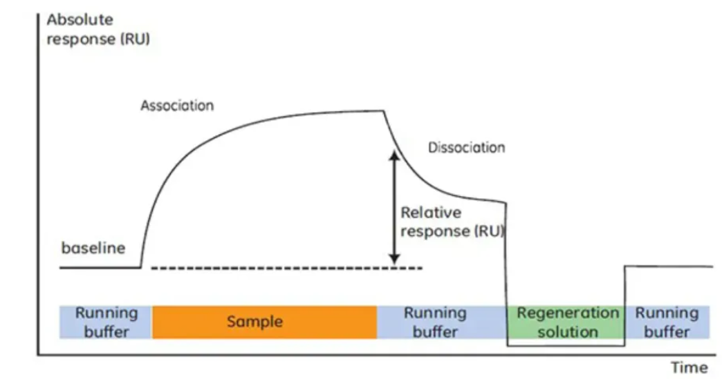 1953743874486747136-thematic-analysis5.png
