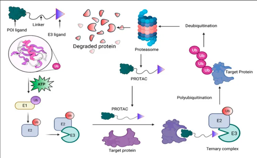 1953744371910230016-thematic-analysis6.png