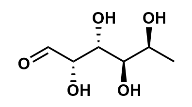 1953645562792890368-high-throughput-fucose-screening-service1.png