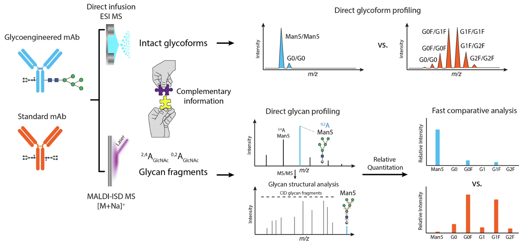 1953658650426462208-antibody-drug-glycosylation-characterization-service1.png