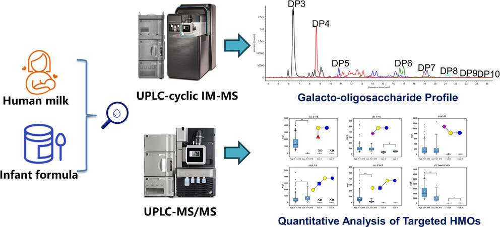 oligosaccharide-population-analysis-service1.jpeg