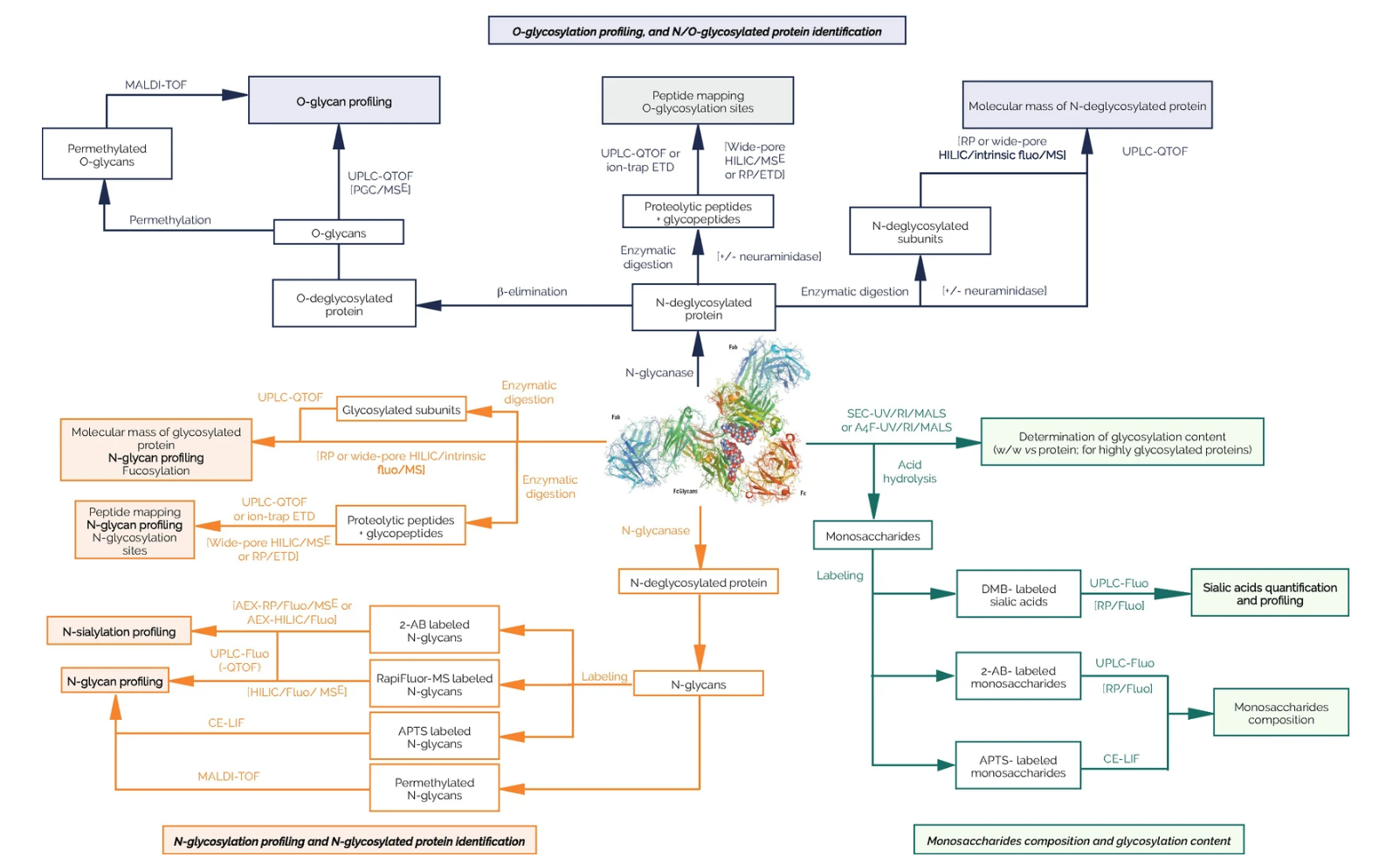 1953723396706127872-protein-drug-glycosylation-characterization-service2.png