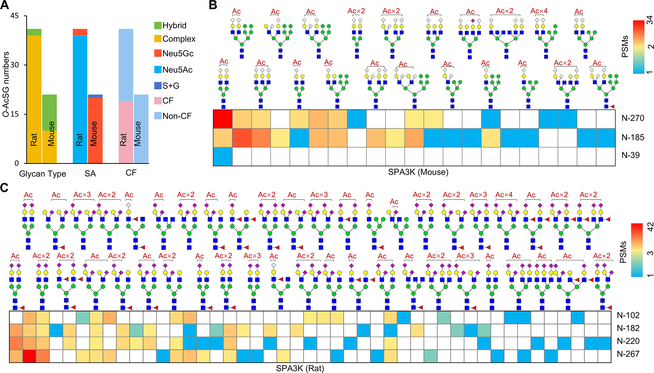 glycan-acetylation-modification-analysis-service1.jpeg