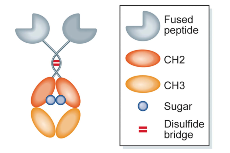 1955554043805876224-drug-glycosylation-characterization-service4.png