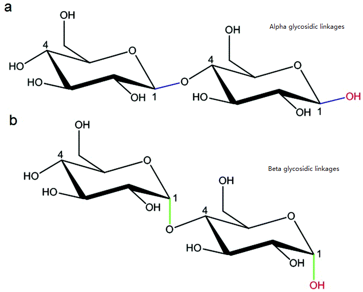 1955565385034616832-glycan-linkage-position-analysis-service1.gif