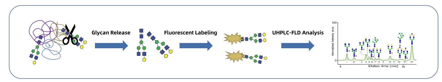 1956258358684667904-uhplc-fld-based-high-throughput-glycan-screening-solution1.png