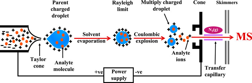 1956267420709146624-esi-msn-based-high-throughput-glycan-screening-solution1.jpg