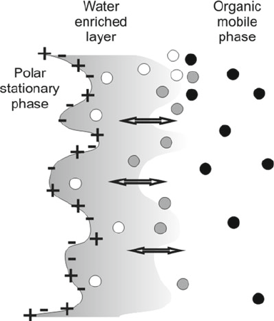 1956268010264711168-hydrophilic-interaction-chromatography-based-high-throughput-glycan-screening-solution1.png