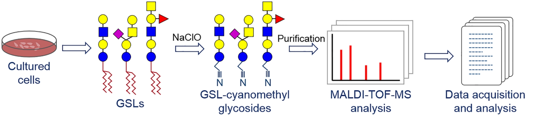 1956268508715798528-maldi-tof-ms-based-high-throughput-glycan-screening-solution1.png