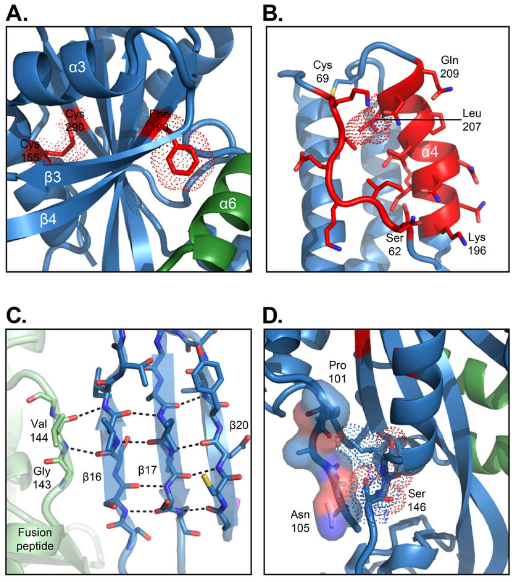 1956226314567012352-glycoprotein-secondary-structure-analysis-service1.png