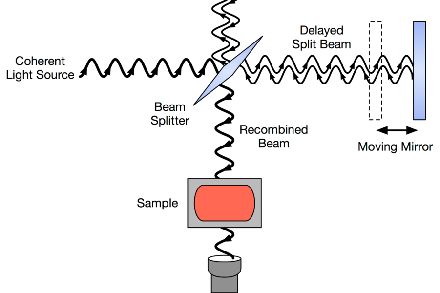 1956231026099998720-glycoprotein-secondary-structure-analysis-service4.png
