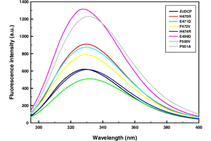 1956232012466081792-glycoprotein-secondary-structure-analysis-service5.png