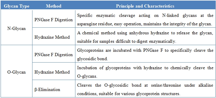 1957739287139700736-glycan-release-service.jpg