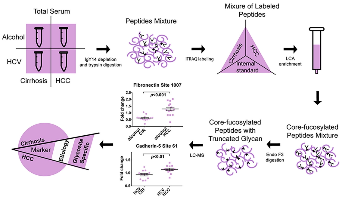 1958798966041202688-mass-spectrometry-based-high-throughput-glycan-screening-solution1.png