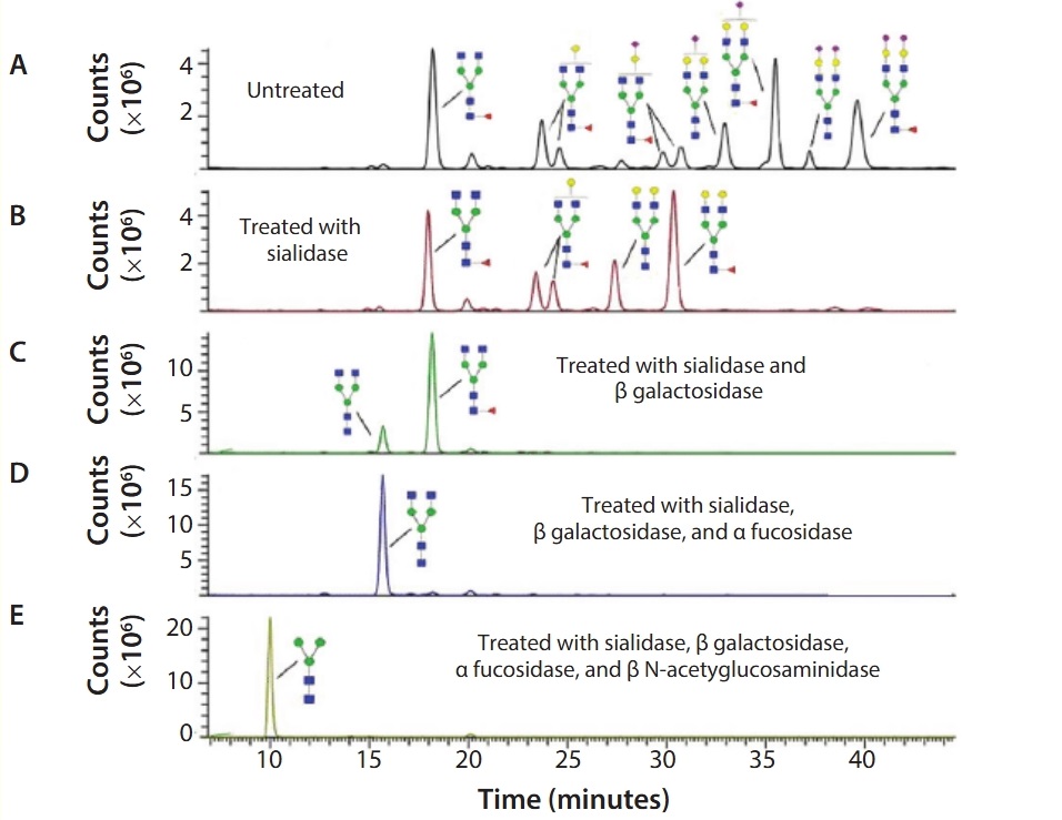 1958815136291082240-glycan-sequencing-service1.jpg