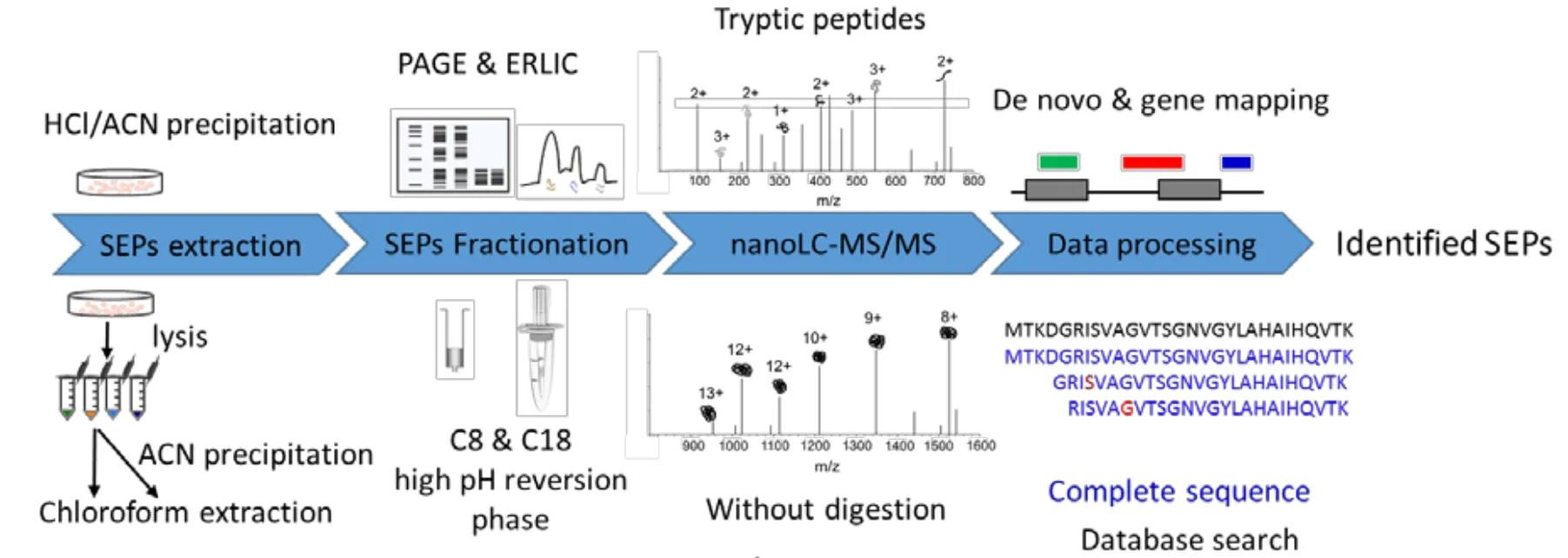 1959858049108267008-mass-spectrometry-based-protein-sequencing-service2.png